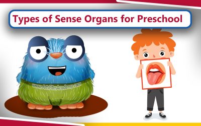 Types of Human Sense Organs for Preschool Kids
