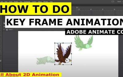 How to animate bird flying keyframe 2D animation  in Adobe Animate CC